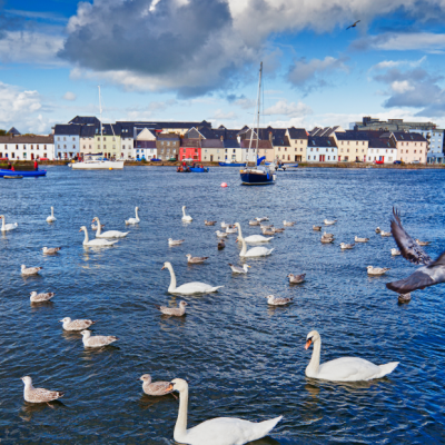 Galway City