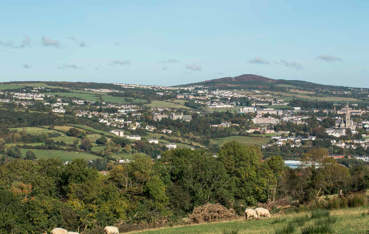 Letterkenny - SIRO