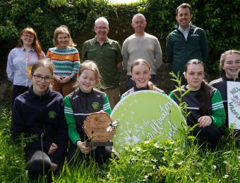 New Ross School Wins National Pollinator Award For Community Wildflower Initiative