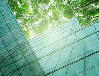 Streamlining Sustainability Reporting for SMEs